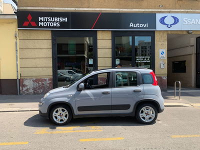 Fiat Panda Cross Cross 1.0 FireFly S&S Hybrid usata