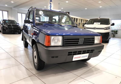 Fiat Panda 1100 i.e. cat 4x4 usata