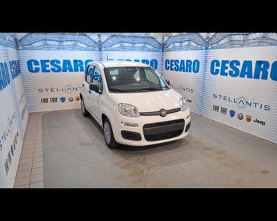 Fiat Panda 1.0 firefly hybrid Icon s&s 70cv nuova