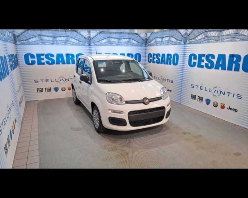 Fiat Panda 1.0 firefly hybrid Icon s&s 70cv