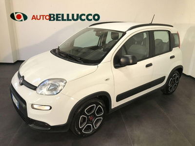 Fiat Panda 1.0 FireFly S&S Hybrid City Cross usata