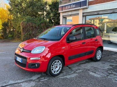 Fiat Panda 1.2 Easy usata