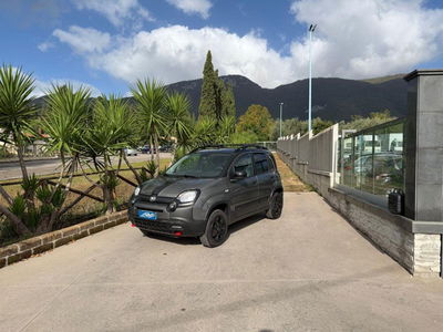 Fiat Panda Cross Cross 0.9 TwinAir Turbo S&S 4x4 usata