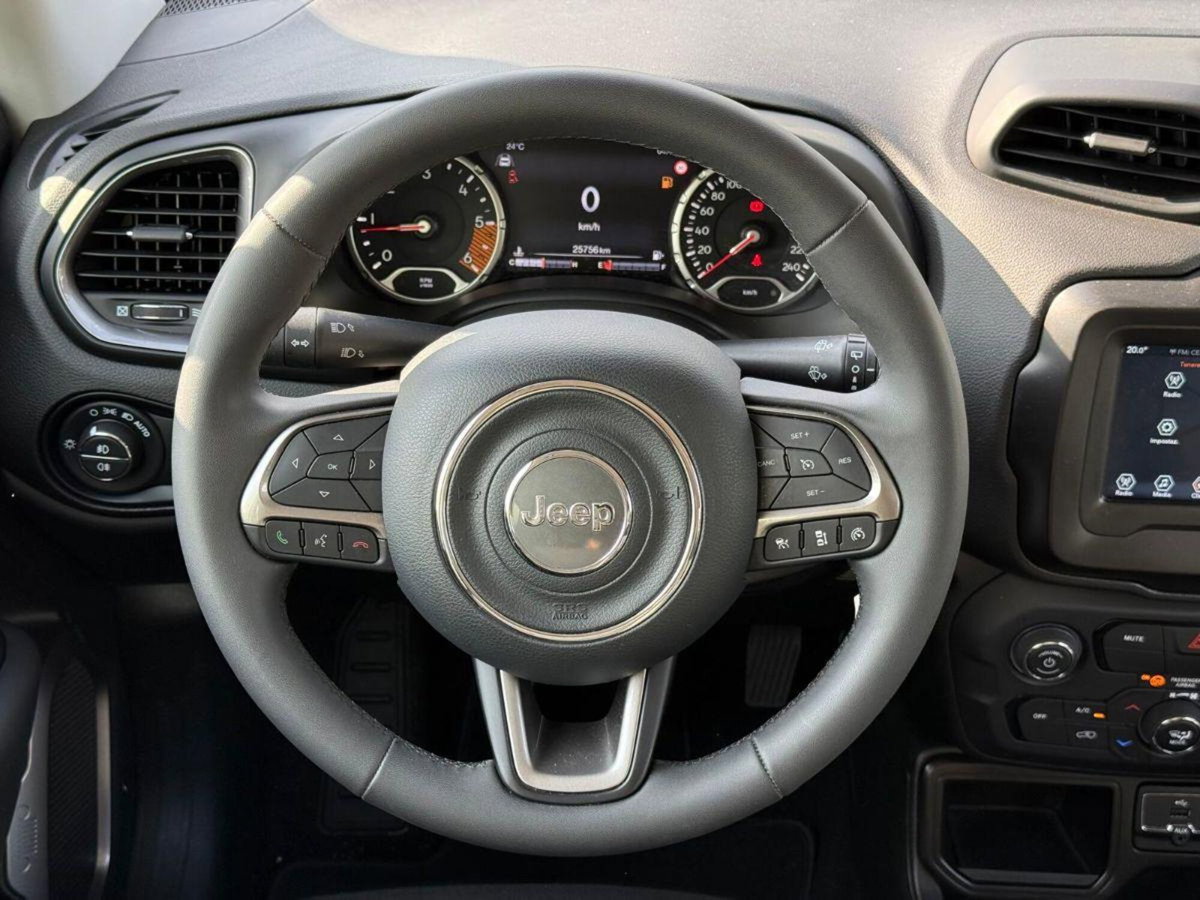 Jeep Renegade 1.6 Mjt 130 CV S (17)