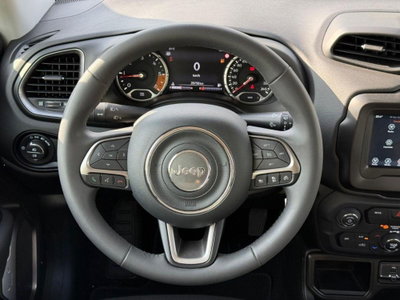 Jeep Renegade 1.6 Mjt 130 CV S (17)
