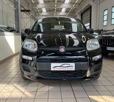 Fiat Panda 1.2 Easy usata