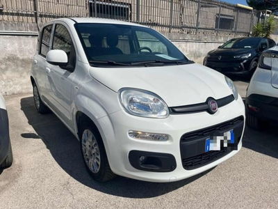Fiat Panda 1.2 usata