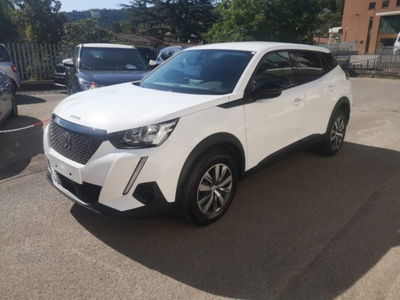 Peugeot 2008 BlueHDi 110 S&S Active usata