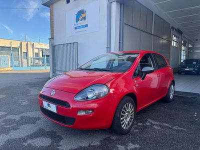 Fiat Punto 1.2 8V 5 porte Young usata