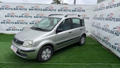 Fiat Panda 1.1 Active usata