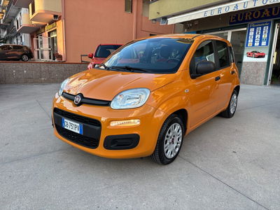 Fiat Panda 1.2 Easy usata