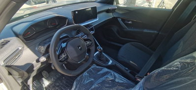 Peugeot 2008 1.2 puretech Active s&s 100cv (15)
