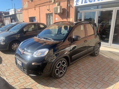 Fiat Panda 1.0 FireFly S&S Hybrid City Cross usata