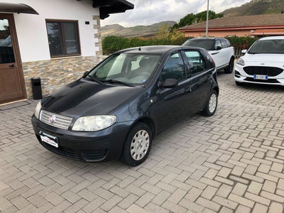 Fiat Punto Classic 1.2 5 porte Active GPL usata
