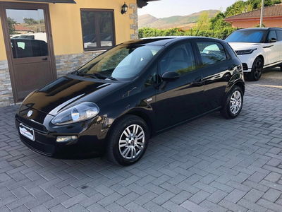 Fiat Punto Evo 1.4 5 porte Dynamic EasyPower usata