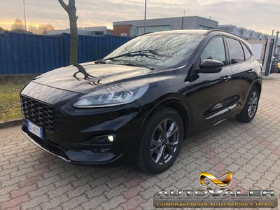 Ford Kuga 1.5 EcoBlue 120 CV aut. 2WD ST-Line X usata