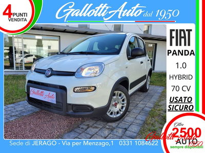 Fiat Panda Cross Cross 1.0 FireFly S&S Hybrid usata