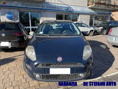Fiat Punto 1.2 8V 5 porte Lounge usata