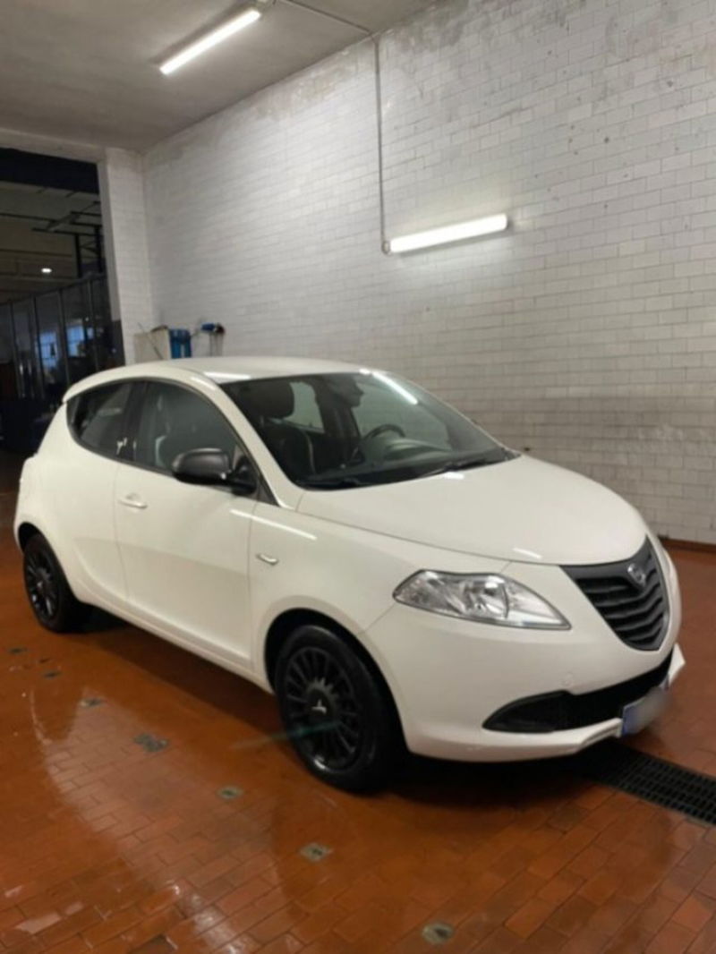 Lancia Ypsilon 1.2 69 CV 5 porte Elefantino
