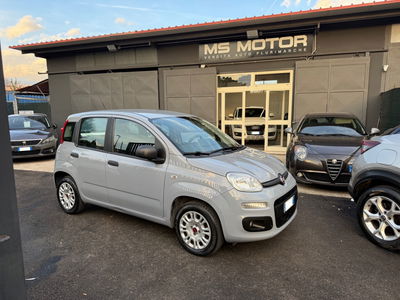 Fiat Panda 1.2 Easy usata