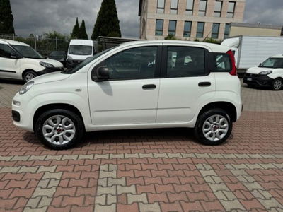 Fiat Panda 0.9 TwinAir Turbo Natural Power Easy usata