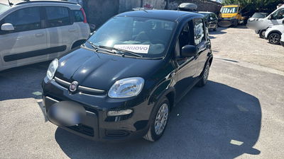 Fiat Panda 1.2 EasyPower usata