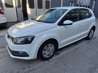 Volkswagen Polo 1.4 TDI 5p. Comfortline BlueMotion Technology usata