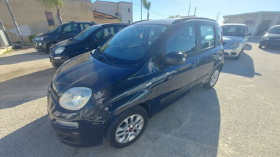 Fiat Panda 1.2 Lounge usata
