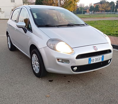 Fiat Punto 1.4 8V 5 porte Natural Power Lounge usata