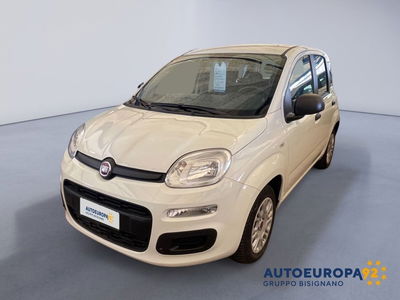 Fiat Panda 1.2 Easy usata