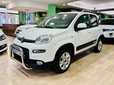 Fiat Panda 1.3 MJT S&S 4x4 Antartica usata