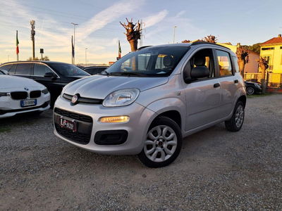 Fiat Panda 0.9 TwinAir Turbo Natural Power Easy usata