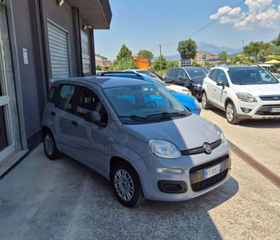 Fiat Panda 1.2 Easy usata