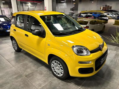 Fiat Panda 1.0 firefly hybrid s&s 70cv 5p.ti nuova
