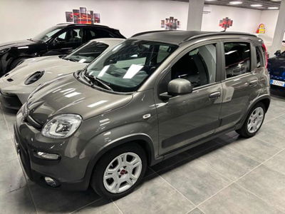 Fiat Panda 1.0 firefly hybrid s&s 70cv 5p.ti usata