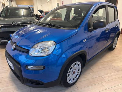 Fiat Panda 1.0 firefly hybrid s&s 70cv 5p.ti usata