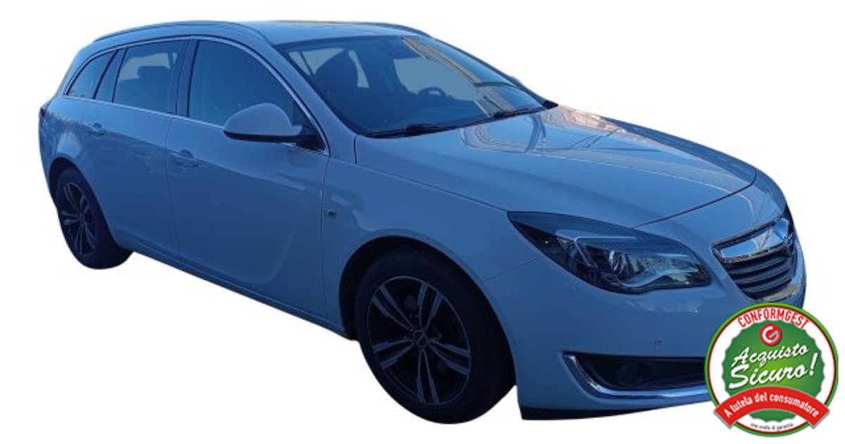 Opel Insignia Station Wagon CDTI 170CV Start&Stop Sports Cosmo (14)