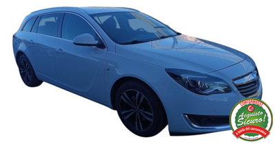 Opel Insignia Station Wagon CDTI 170CV Start&Stop Sports Cosmo (14)