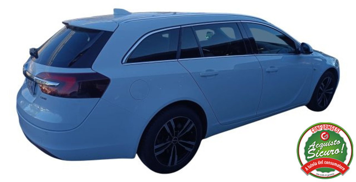 Opel Insignia Station Wagon CDTI 170CV Start&Stop Sports Cosmo (15)