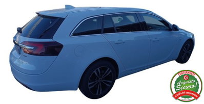 Opel Insignia Station Wagon CDTI 170CV Start&Stop Sports Cosmo (15)