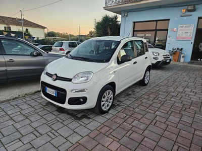 Fiat Panda 0.9 TwinAir Turbo Natural Power Easy usata