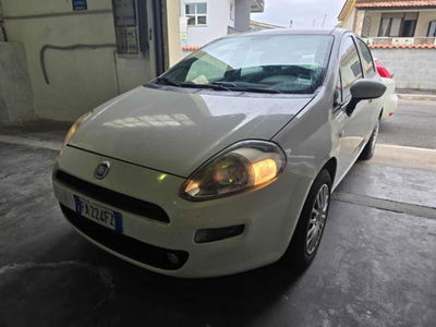 Fiat Punto 1.3 MJT 75CV 5 porte Van Easy 4 posti usata