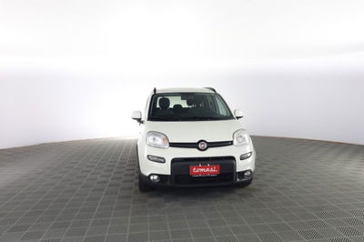 Fiat Panda 1.0 FireFly S&S Hybrid City Cross usata
