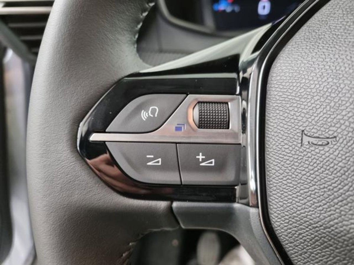 Peugeot 208 PureTech 100 Stop&Start 5 porte Allure (19)
