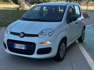 Fiat Panda 1.2 Easy usata