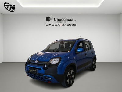 Fiat Panda 1.0 FireFly S&S Hybrid usata
