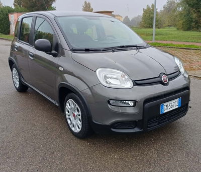 Fiat Panda Cross Cross 1.0 FireFly S&S Hybrid usata