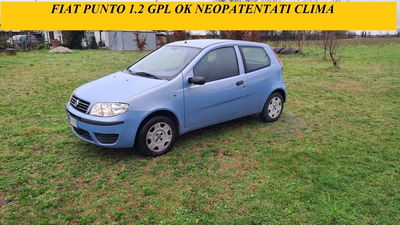 Fiat Punto 1.2 3 porte Actual usata