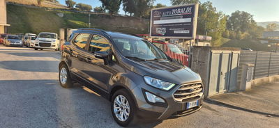 Ford EcoSport 1.0 EcoBoost 100 CV Business usata