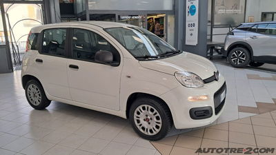 Fiat Panda 1.2 Easy usata